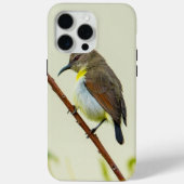 Nature Bird Phone Case (Achterkant)