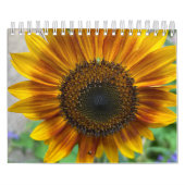 Nature Calendar Kalender (Hoes)