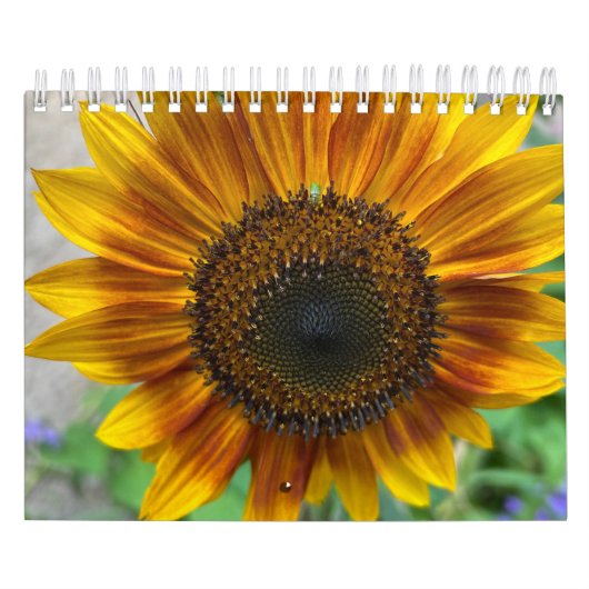 Nature Calendar Kalender (Hoes)