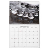 Nature - calendrier 2010 (Feb 2027)
