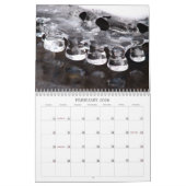 Nature - calendrier 2010 (Feb 2026)