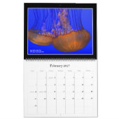 Nature : Calendrier 2021 sur la terre et la mer (Feb 2027)