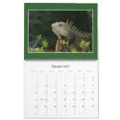 Nature : Calendrier 2021 sur la terre et la mer (Jan 2027)