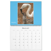 Nature : Calendrier 2021 sur la terre et la mer (Mar 2027)