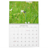 Nature - Calendrier du monde naturel (Jan 2026)