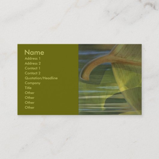 Nature dans le carte de visite d'équilibre (Devant)