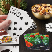 Nature de cartes de jeu (In Situ)