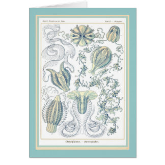 Nature de der d'Ernst Haeckel - de Kuntsformen -