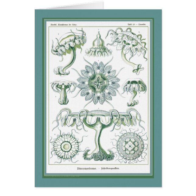 Nature de der d'Ernst Haeckel - de Kuntsformen - (Devant)