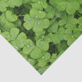 Nature de vert de papier de soie de soie de (Détail)