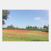 Nature Envelopper naturellement les feuilles de pa (Devant 2)