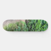 Nature Forrest Skateboard (Horizontaal)