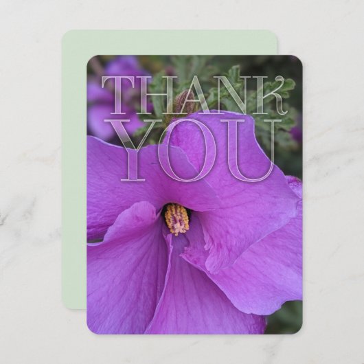 Nature Hibiscus violet Merci à fleurs (Devant / Derrière)