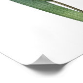 Nature, imprimé botanique, affiche d'art floral d' (Coin)