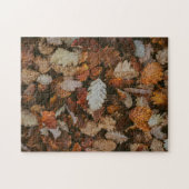 Nature Jigsaw Puzzle Automne Jigsaw Puzzle Puzzle  (Horizontal)
