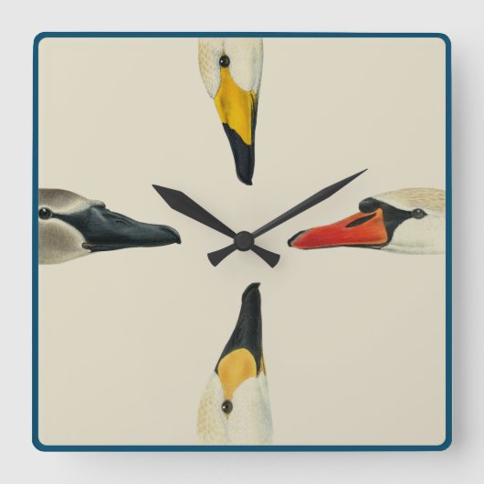 Nature Les multiples visages d'une horloge murale  (Recto)