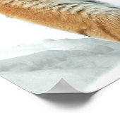 Nature Mountains Tiger Winter Neige Poster photo (Coin)