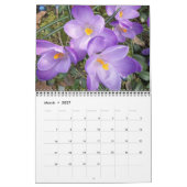 Nature - oiseaux - paysage calendrier de 12 mois (Mar 2027)