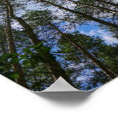 Nature Paysage Chercher Forêt Biélorussie Poster (Coin)