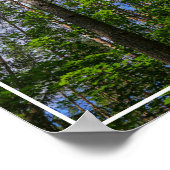 Nature Paysage Chercher Forêt Biélorussie Poster (Coin)