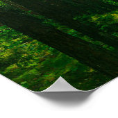 Nature Paysage Chercher Forêt Biélorussie Poster (Coin)