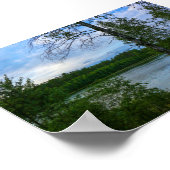 Nature Paysage Forêt Biélorussie Poster (Coin)