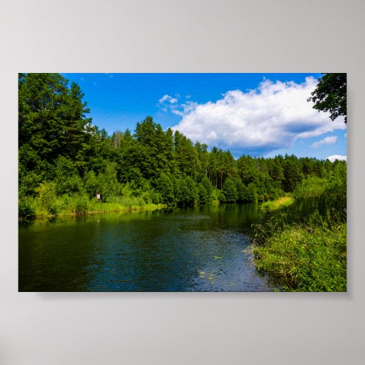 Nature Paysage Lac Arbres Biélorussie Poster (Devant)