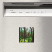 Nature Paysage Paysage Forêt Biélorussie Magnet (In Situ (Lave-vaisselle))