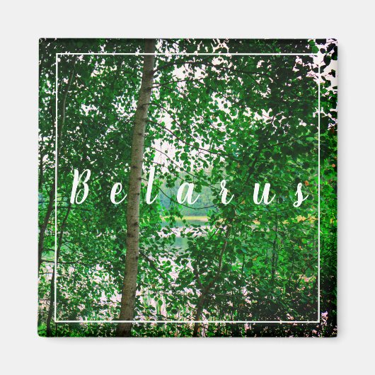 Nature Paysage Paysage Forêt Biélorussie Magnet (Devant)