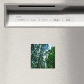 Nature Paysage Paysage Forêt Biélorussie Magnet (In Situ (Lave-vaisselle))