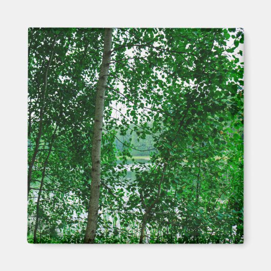 Nature Paysage Paysage Forêt Biélorussie Magnet (Devant)