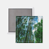 Nature Paysage Paysage Forêt Biélorussie Magnet (Recto/Verso)