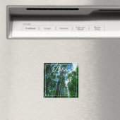 Nature Paysage Paysage Forêt Biélorussie Magnet (In Situ (Lave-vaisselle))