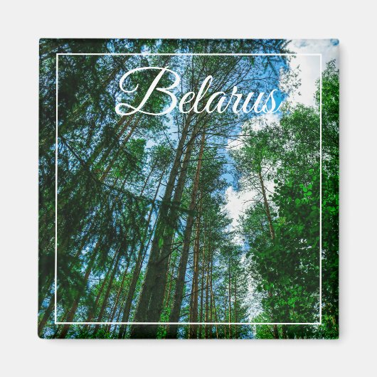 Nature Paysage Paysage Forêt Biélorussie Magnet (Devant)