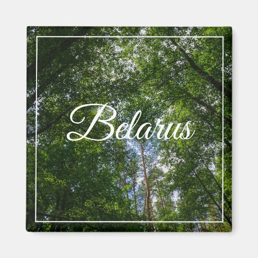 Nature Paysage Paysage Forêt Biélorussie Magnet (Devant)