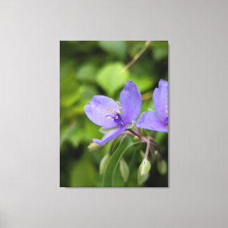 Nature Photography Canvas Print