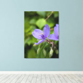 Nature Photography Canvas Print (Insitu (Houten vloer))