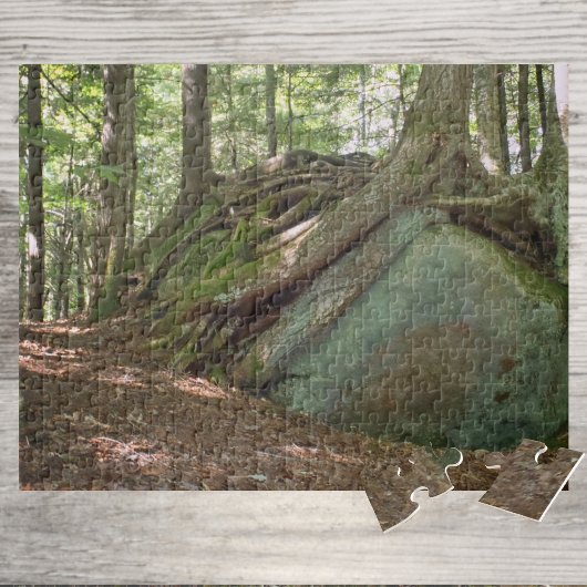 Nature’s Resilience Tree on Boulder Photographic Legpuzzel