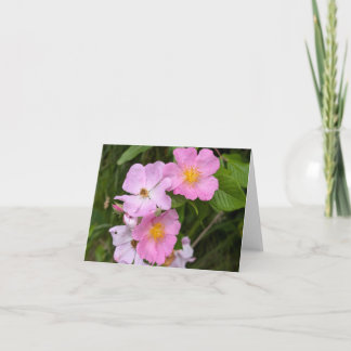 Nature’s Touch - Voeux et Carte de remerciements b