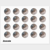 Nature stickers (Vel)