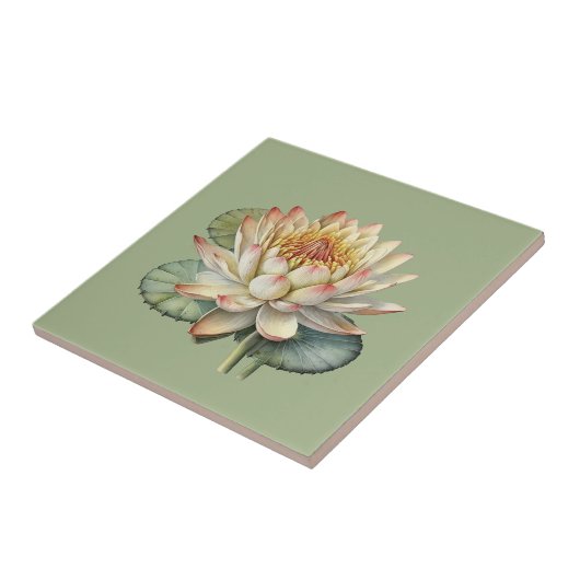 Nature Style Eau Lily Carreaux de céramique (Côté)