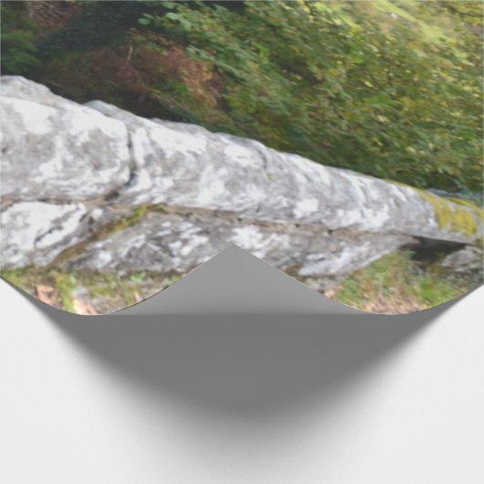 nature way of impersonating animals cadeaupapier (Hoek)