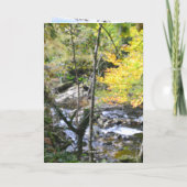 nature way of impersonating animals kaart (Achterkant)