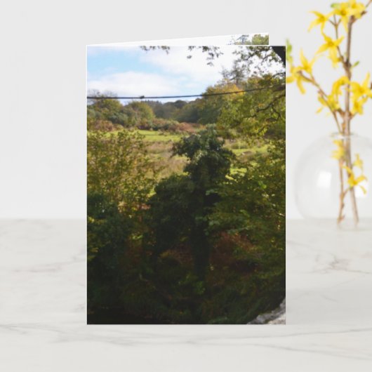 nature way of impersonating animals kaart (Gele Bloem)