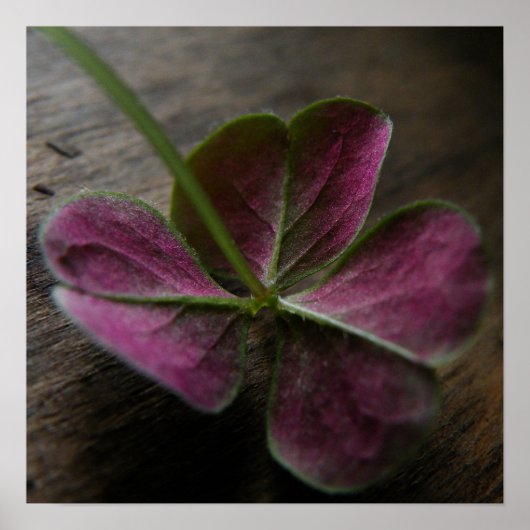 "naturelovesyou" Canvas Print (Voorkant)