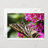 Naturen Beauty Briefkaart (Voorkant / Achterkant)