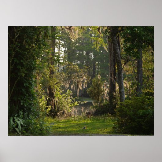 Naturen Beauty Poster (Voorkant)