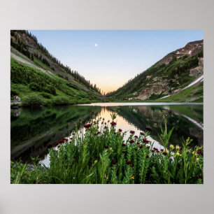 Naturen Bouquet / / / Floral foreground Poster