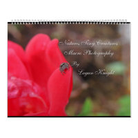 Naturen Kleine creaties Macro Fotografie