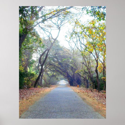 naturen pad poster (Voorkant)